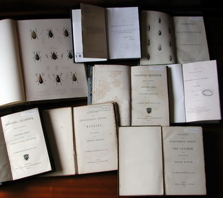 Books on Coleoptera by T. Vernon Wollaston